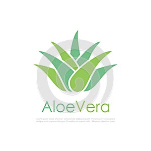 Aloe vera vector logo photo