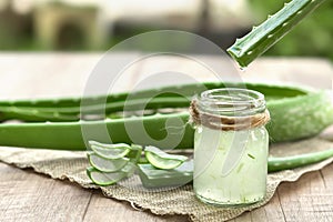 Aloe Vera very useful herbal medicine for skin treatment and use in spa for skin care. herb in nature photo