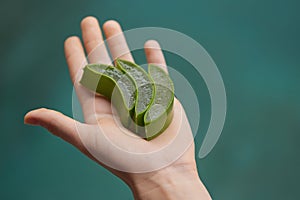 Aloe Vera. Woman Hand Holding Leaf Of Aloe Vera Plant