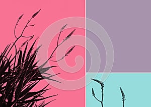 Aloes in silhouette, three tone colors