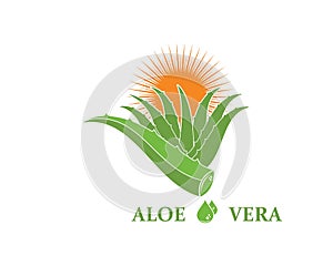 aloevera logo icon vector illustration design