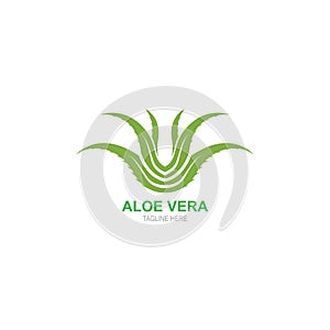 Aloevera logo vector template illustration.