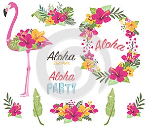 Aloha Flower Flamingo Collections