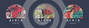 Aloha Hawaii. Set of three colorful tropical vector t-shirt designs, posters, prints, labels