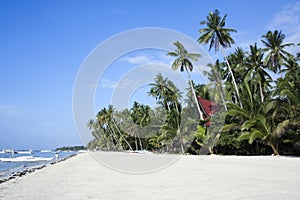 Alona beach bohol island philippines