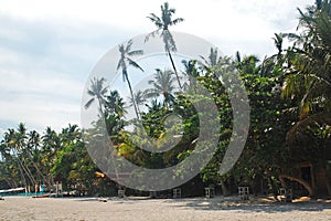 Alona beach in Panglao island, Bohol, Philippines