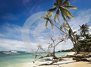Alona beach paradise scene in Philippines