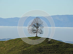 Alone above the clouds