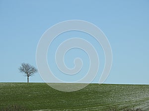 Alone above the clouds