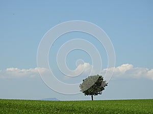 Alone above the clouds
