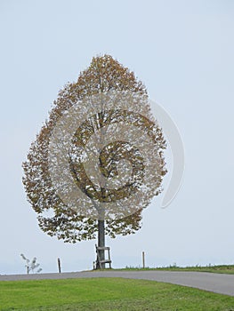 Alone above the clouds