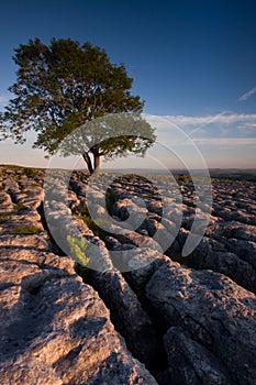 Alone Above Malhamdale