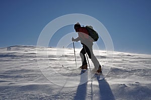 Alone alpine touring skier