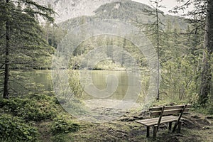 Alone bench in natural forest and lake in mountains