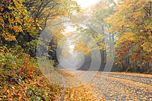 Alone on the Blue Ridge Parkway