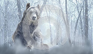 Alone brown bear and snow in a winter forest mountain. Nature and wildlife concept with empty copy space