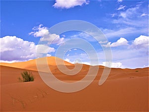 ALONE IN THE DESERT OF MERZOUGA IN MOROCCO