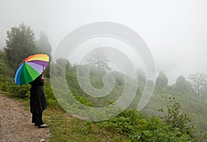 Alone in the Fog with colorful umbrella