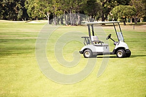 Alone golf buggy on golf course