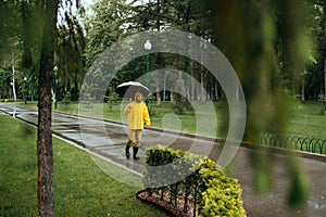 Alone man with umbrella walking in park, rainy day