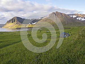 Alone small tent standing at Hloduvik cove campsite with green grass meadow, Skalarkambur mountain, wooden logs and photo