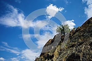 Alone tree on the rock against blue sky and clouds