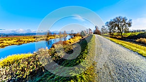 The along the Alouette River in the Pitt Polder at the town of Maple Ridge in the Fraser Valley of Britis