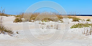 Along the Beach at Anastasia State Park, Florida