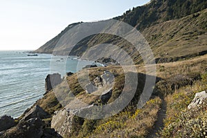 Along California's Lost Coast.