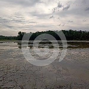 Along the cloudy river