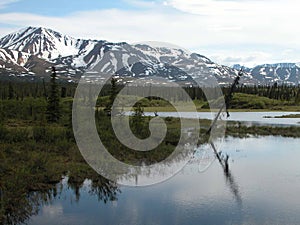 Along Denali Highway - Alaska