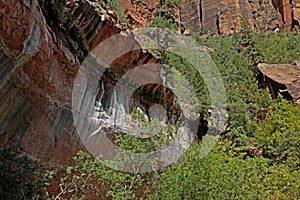 Along Emerald Pools Trail, Zion National Park, Utah, USA