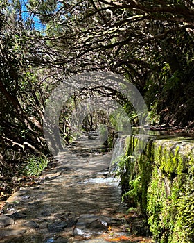 Along the Levada, Madeira. Hiking along irrigation channel