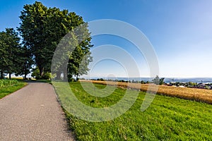 Along the panorama path in Heiligenberg