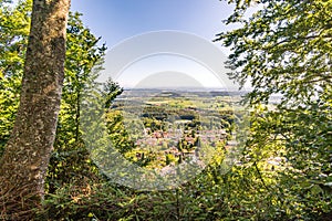 Along the panorama path in Heiligenberg