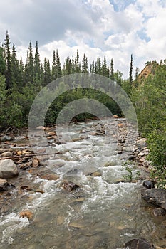 Along the river in Denali