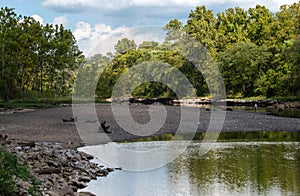 Along the river edge in Arkansas