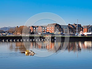 Along The Rver Exe at Exeter Quays Devon