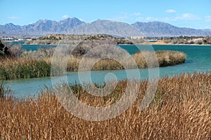 Along the shore at Lake Havasu