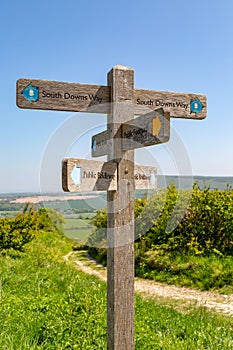 Along the South Downs Way