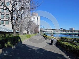 Along the Sumida River. Tokyo