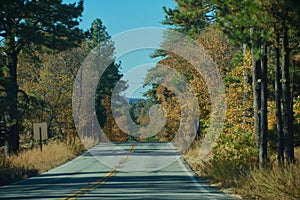 Along the Sunrise Highway in Fall