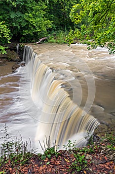 Alongside Anderson Falls