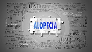 Alopecia - a complex subject, related to many concepts. Pictured as a puzzle and a word cloud made of most important ideas and
