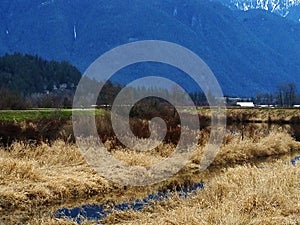 Alouette river in maple ridge british columbia.