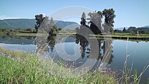 Alouette river reflection Pitt Meadows 4K UHD