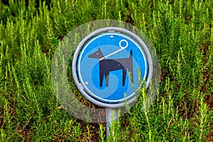 Alowed for dogs in the park sign