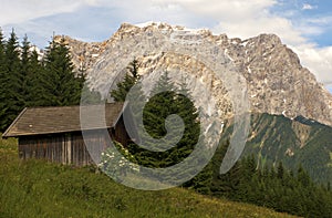 Alp with alp hut, Tyrol, Austria