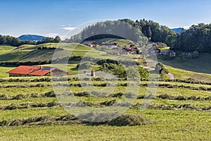 Alp with drying hay in German mountains near Berchtesgaden