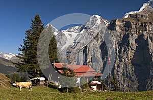 Alp with farm house, Switzerland photo